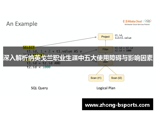 深入解析纳英戈兰职业生涯中五大使用障碍与影响因素